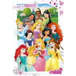 Poster Princesses Disney